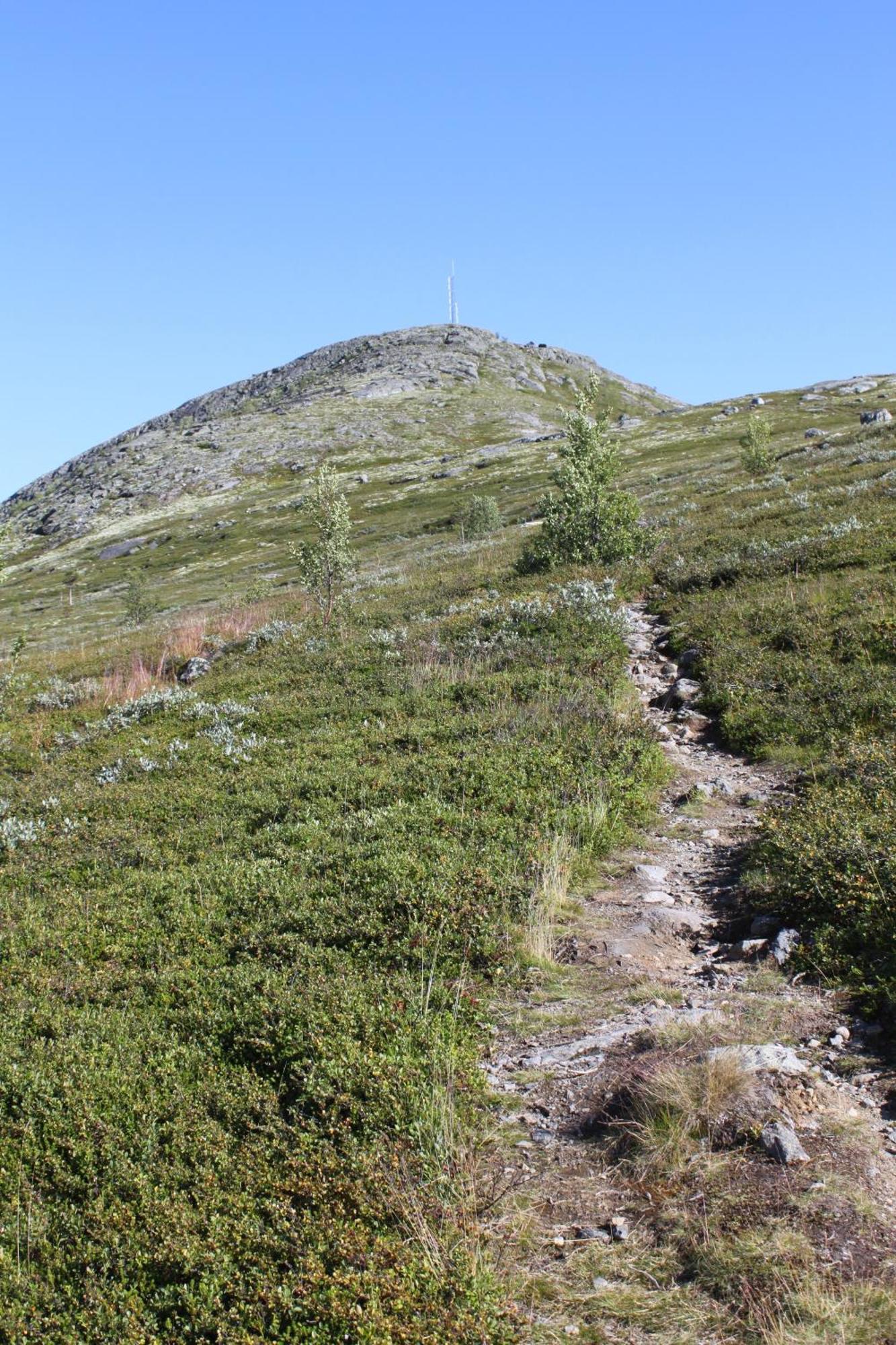 Willa Jotunheimen Feriesenter Heidal Zewnętrze zdjęcie